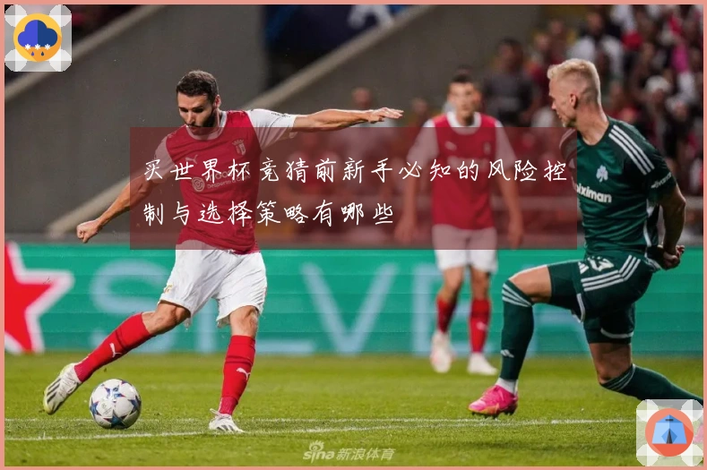 买世界杯竞猜前新手必知的风险控制与选择策略有哪些