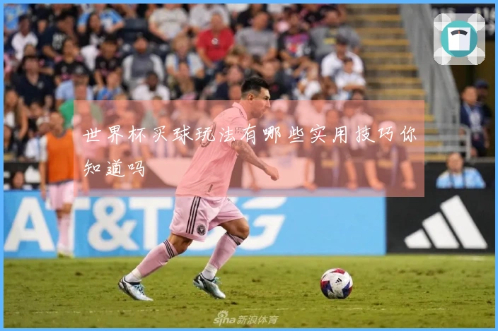 世界杯买球玩法有哪些实用技巧你知道吗