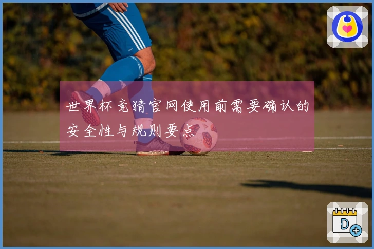 世界杯竞猜官网使用前需要确认的安全性与规则要点