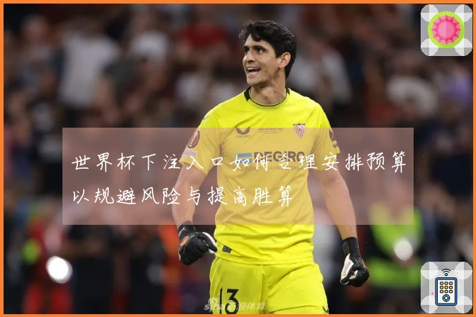 世界杯下注入口如何合理安排预算以规避风险与提高胜算