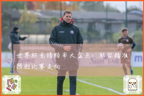 世界杯竞猜赔率大盘点，助你精准预测比赛走向