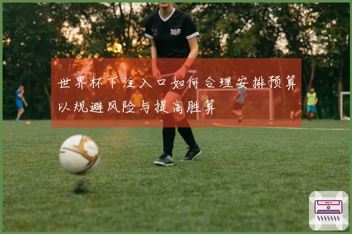 世界杯下注入口如何合理安排预算以规避风险与提高胜算