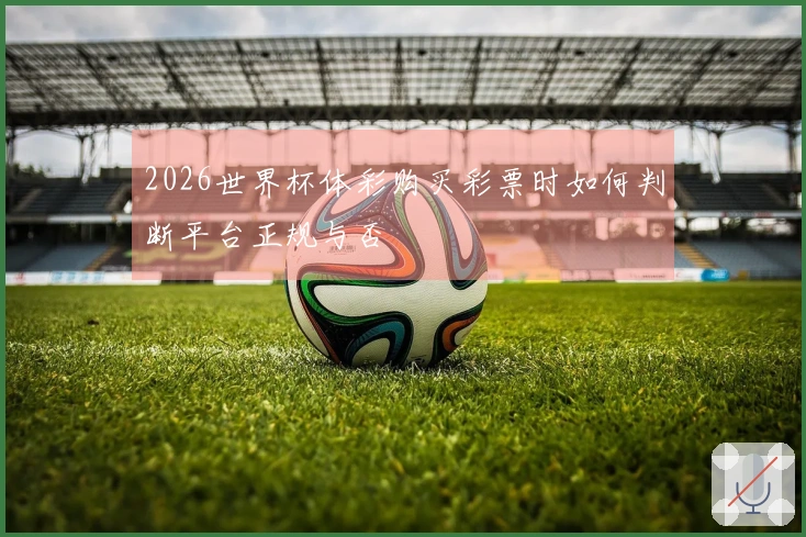 2026世界杯体彩购买彩票时如何判断平台正规与否