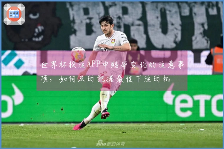 世界杯投注APP中赔率变化的注意事项，如何及时把握最佳下注时机