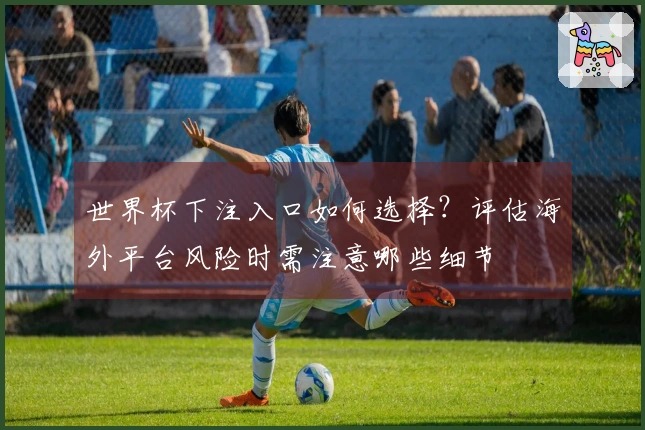世界杯下注入口如何选择？评估海外平台风险时需注意哪些细节