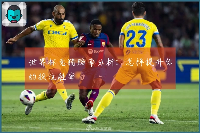 世界杯竞猜赔率分析：怎样提升你的投注胜率