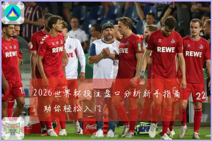 2026世界杯投注盘口分析新手指南，助你轻松入门