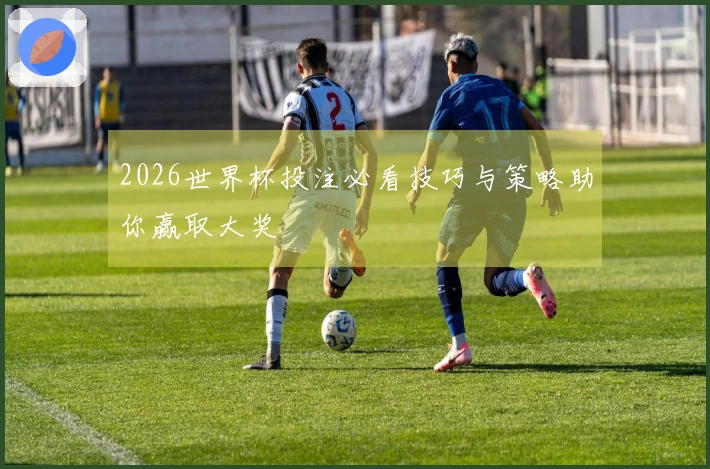 2026世界杯投注必看技巧与策略助你赢取大奖