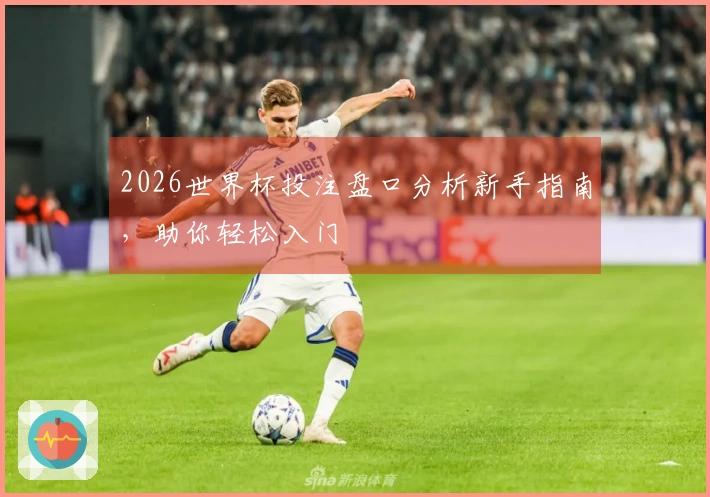 2026世界杯投注盘口分析新手指南，助你轻松入门