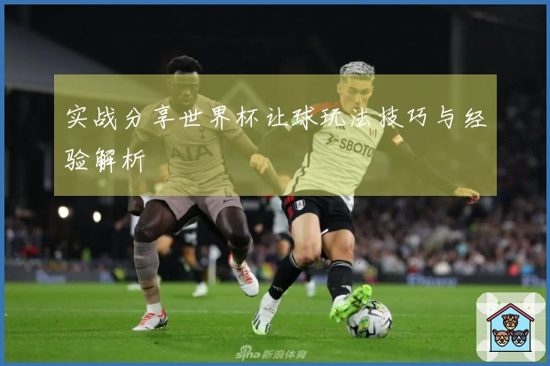实战分享世界杯让球玩法技巧与经验解析