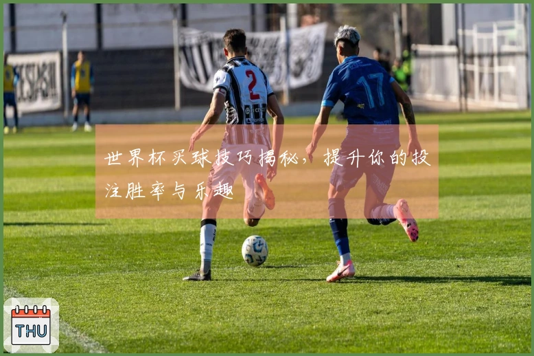 世界杯买球技巧揭秘，提升你的投注胜率与乐趣
