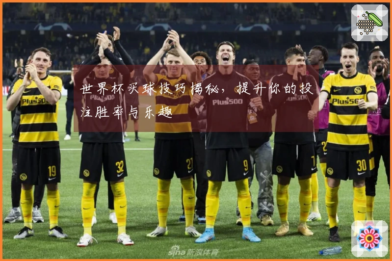 世界杯买球技巧揭秘，提升你的投注胜率与乐趣