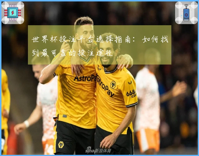 世界杯投注平台选择指南：如何找到最可靠的投注途径