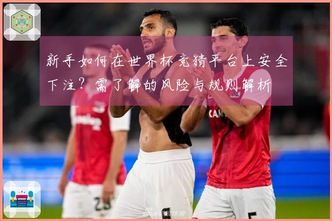 新手如何在世界杯竞猜平台上安全下注？需了解的风险与规则解析