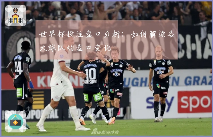 世界杯投注盘口分析：如何解读各大球队的盘口变化