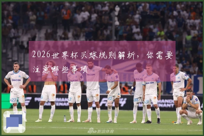 2026世界杯买球规则解析，你需要注意哪些事项