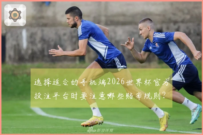 选择适合的手机端2026世界杯官方投注平台时要注意哪些赔率规则？