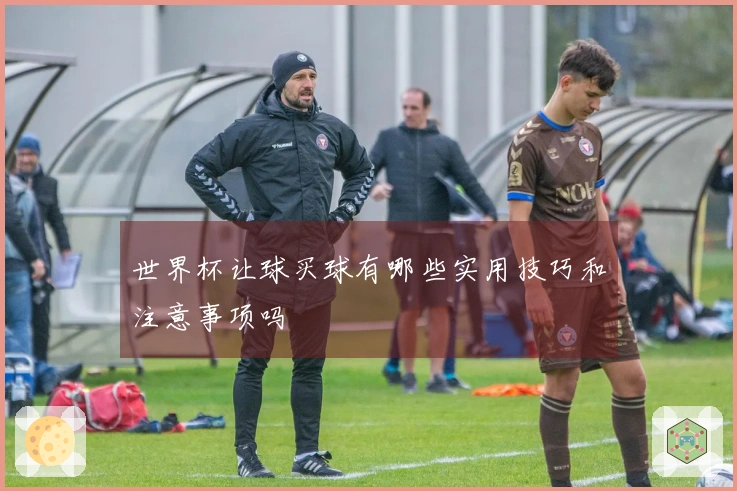 世界杯让球买球有哪些实用技巧和注意事项吗