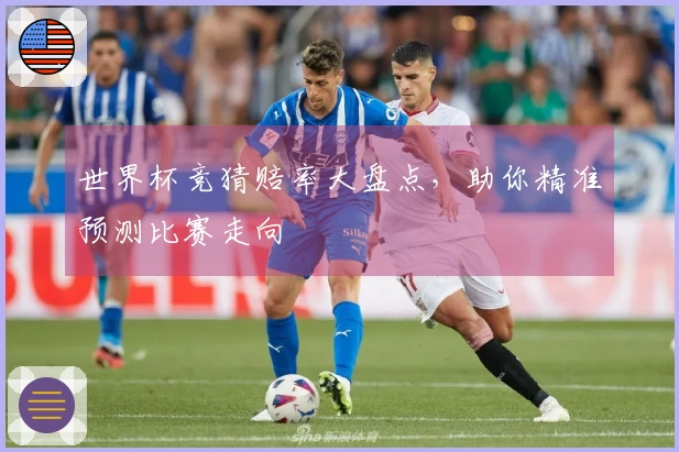 世界杯竞猜赔率大盘点，助你精准预测比赛走向