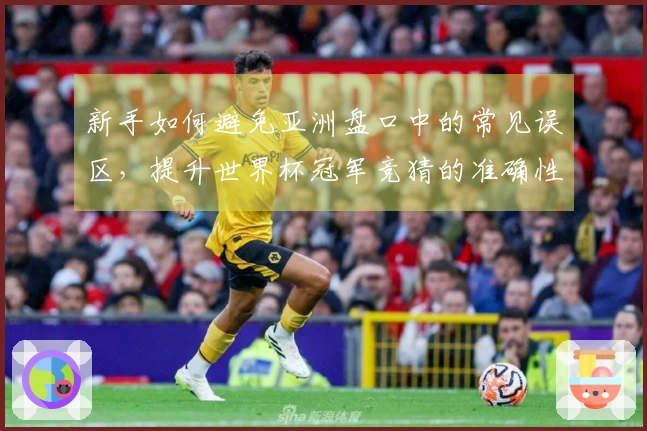 新手如何避免亚洲盘口中的常见误区，提升世界杯冠军竞猜的准确性