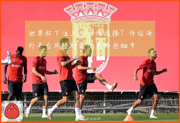 世界杯下注入口如何选择？评估海外平台风险时需注意哪些细节